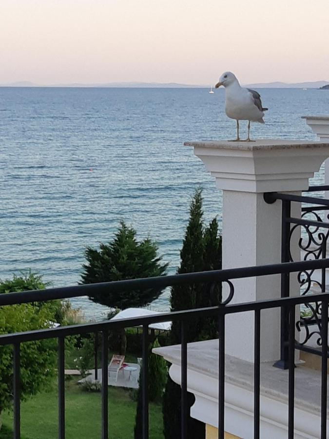 Horizon Katrina Apartments - Sea Line & Beach Access Sveti Vlas Eksteriør billede
